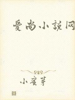 爱尚小说网