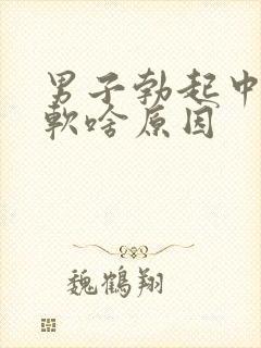 男子勃起中途变软啥原因