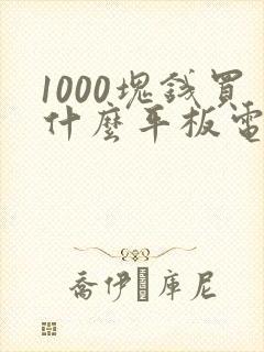 1000块钱买什么平板电脑好