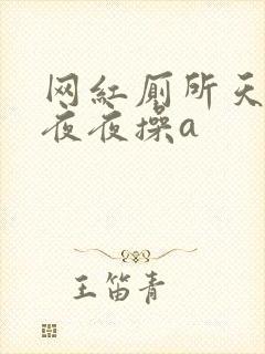 网红厕所天天干夜夜操a