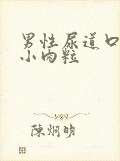 男性尿道口长有小肉粒