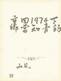 重回1974下乡当知青的小说