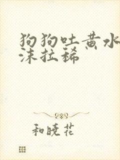 狗狗吐黄水带泡沫拉稀封面