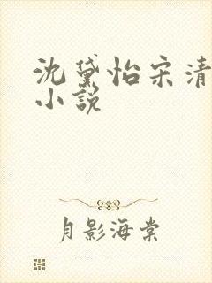 沈黛怡宋清衍的小说