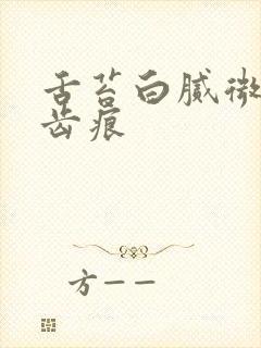 舌苔白腻微黄有齿痕