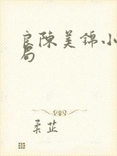 良陈美锦小说结局