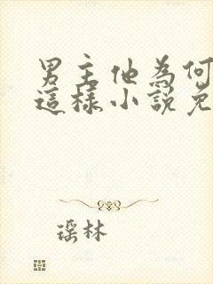 男主他为何总是这样小说免费阅读封面