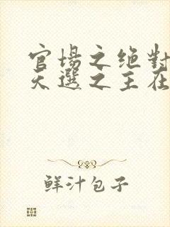 官场之绝对权力天选之主在线阅读