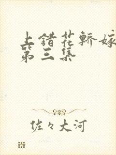 上错花轿嫁对郎第三集