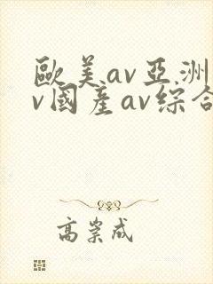 欧美av亚洲av国产av综合区