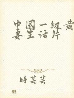 中国一级黄色夫妻生活片