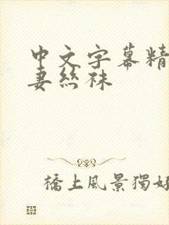 中文字幕精品人妻丝袜