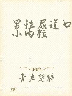男性尿道口上长小肉粒封面