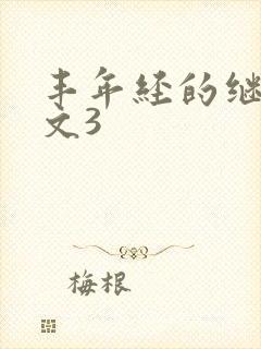 丰年经的继拇中文3