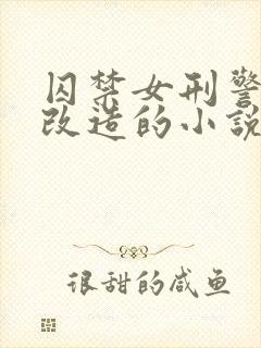 囚禁女刑警卧底改造的小说