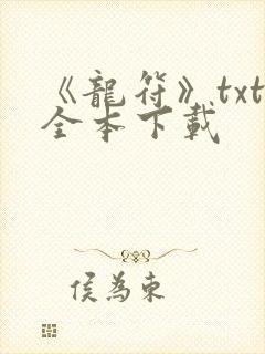 《龙符》txt全本下载