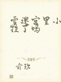 雪迷宫里小光牺牲了吗