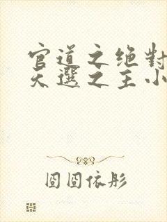 官道之绝对权力天选之主小说之大世界