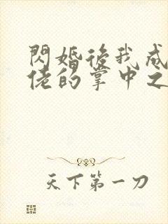 闪婚后我成了大佬的掌中之物女主