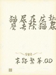 猫尿在床垫上怎么去除猫尿骚味