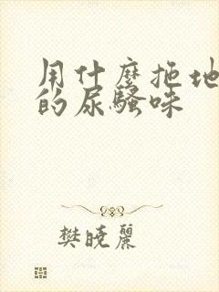 用什么拖地除狗的尿骚味