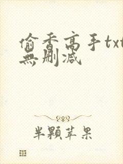 偷香高手txt无删减