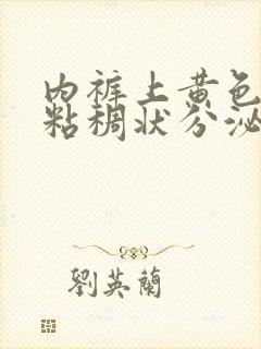 内裤上黄色鼻涕粘稠状分泌物原因