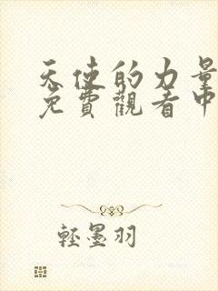 天使的力量动漫免费观看中文版