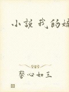 小说 我的娇妻