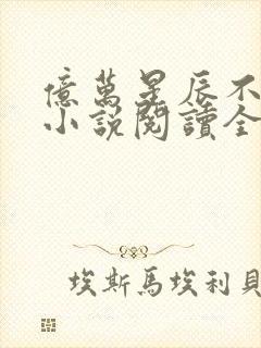 亿万星辰不及你小说阅读全部封面