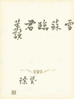 叶君临苏雪儿小说