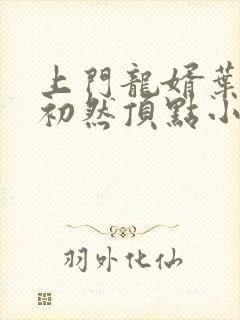 上门龙婿叶辰萧初然顶点小说封面