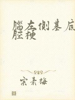 脑左侧基底节区腔梗