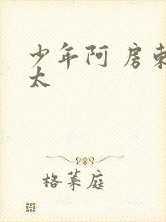 少年阿 房东太太