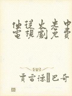 他从火光中走来电视剧免费观看高清封面