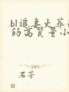 bl追妻火葬场的高质量小说