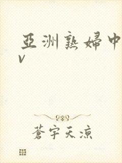 亚洲熟妇中文av