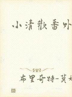 小清欢番外封面