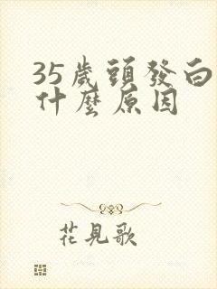 35岁头发白是什么原因