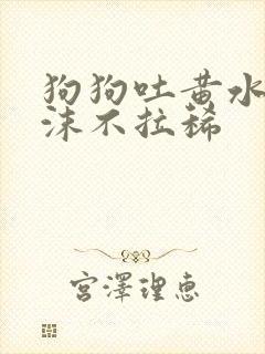 狗狗吐黄水带泡沫不拉稀