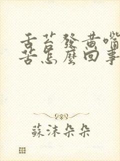 舌苔发黄嘴里发苦怎么回事