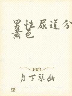 男性尿道分泌物黄色封面