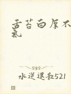 舌苔白厚不是湿气