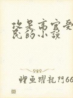 攻是高官受是平民的小说