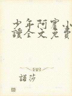 少年阿宾小说阅读全文免费无删减