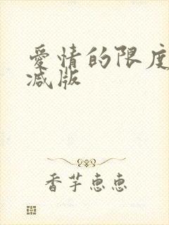 爱情的限度无删减版封面