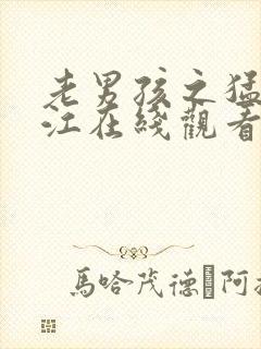 老男孩之猛龙过江在线观看版高清