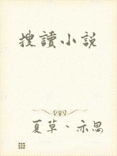 搜读小说