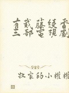 有武藤绫香最火三部电视剧