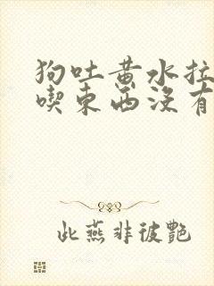 狗吐黄水拉稀不吃东西没有精神